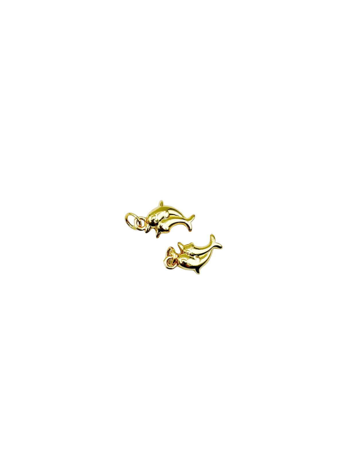 Dolphins Charm