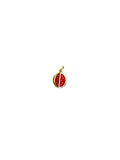 Watermelon Slice Charm